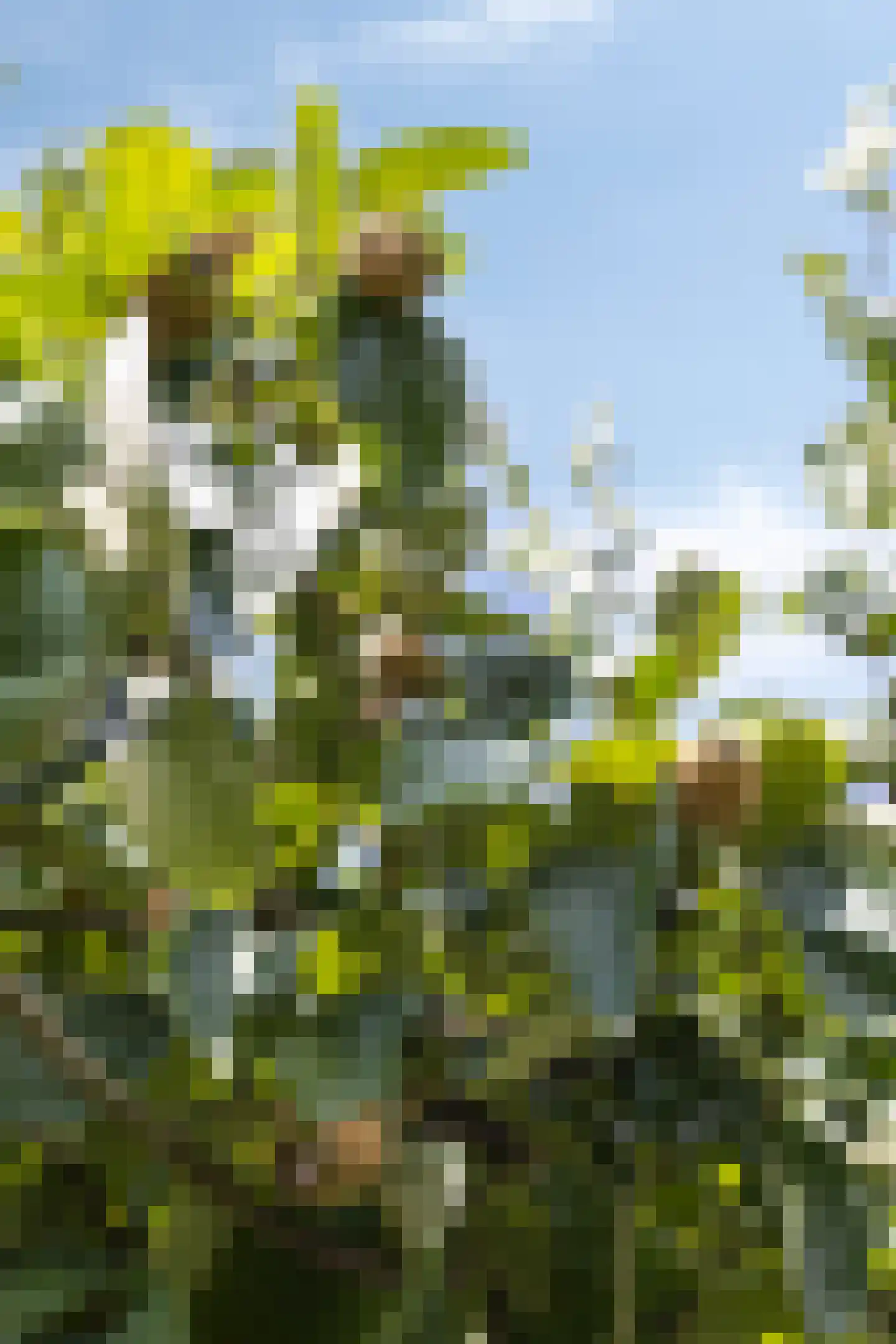 Middenschouwenstraat 9 Tilburg thumbnail 56