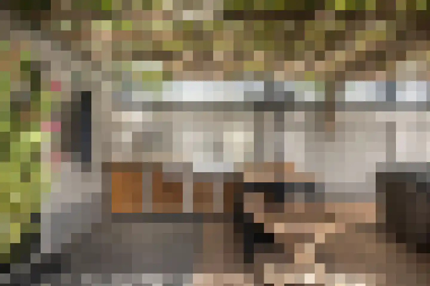 Middenschouwenstraat 9 Tilburg thumbnail 58