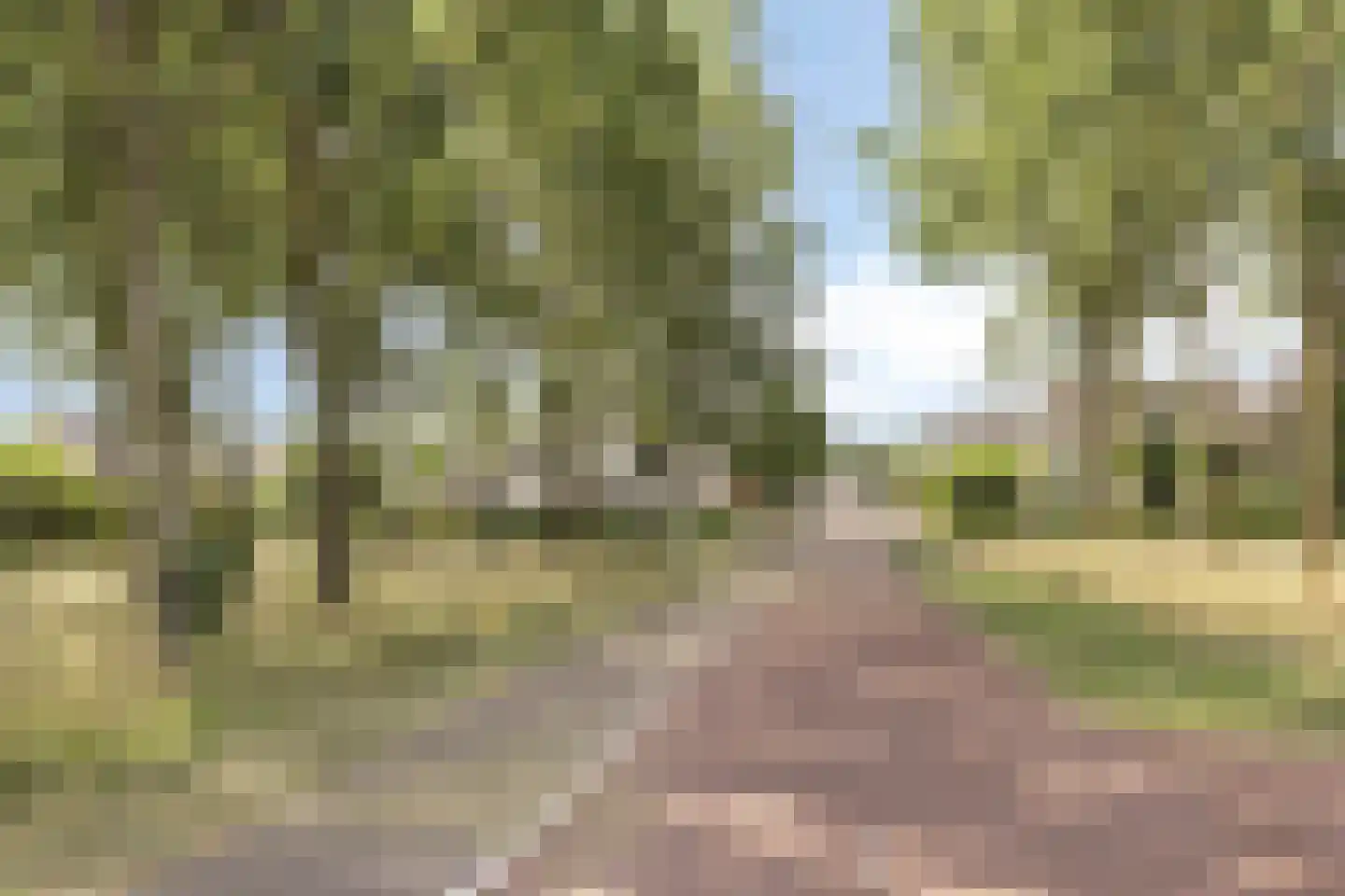 Middenschouwenstraat 9 Tilburg thumbnail 62