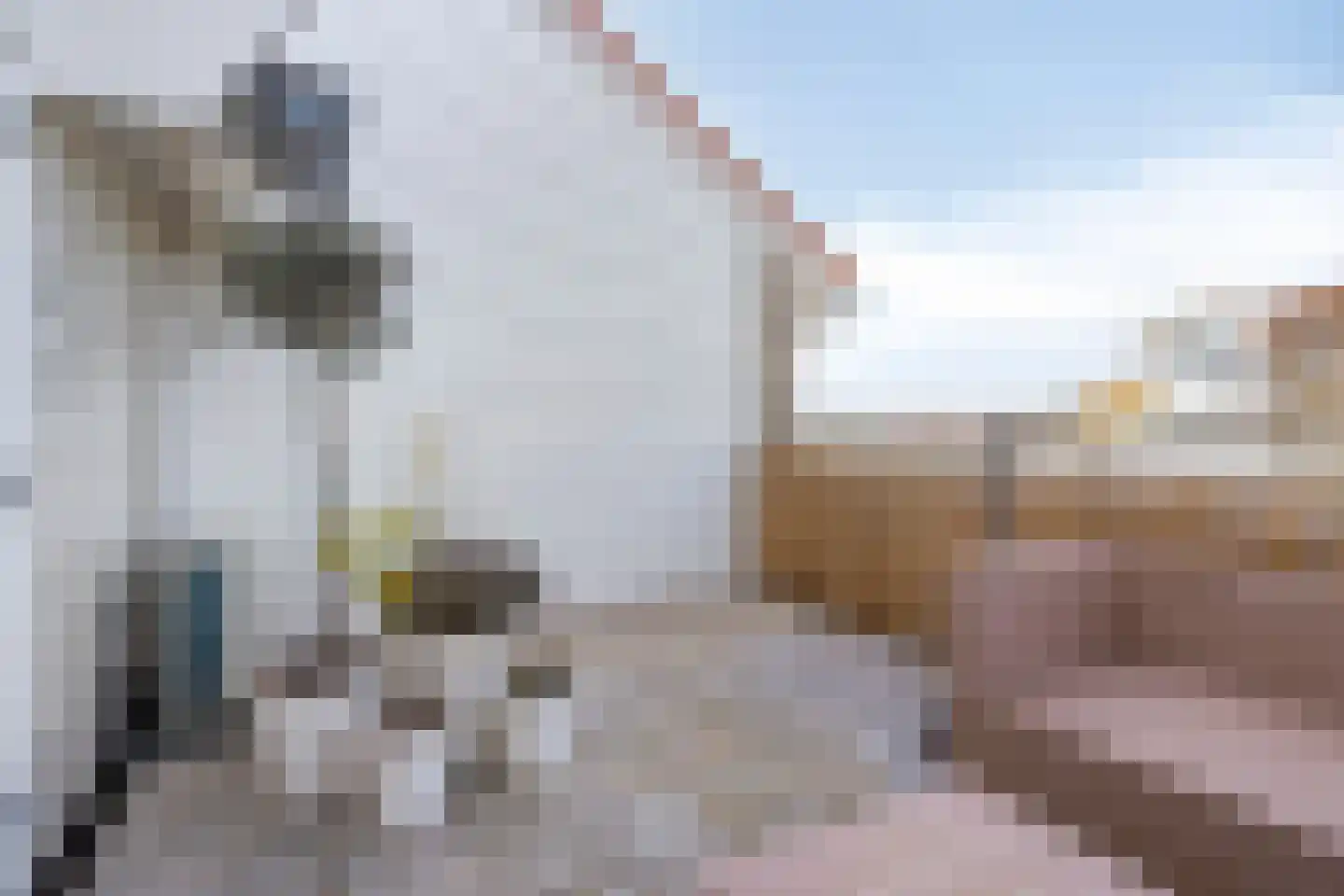 Middensluis 4 Wemeldinge thumbnail 41