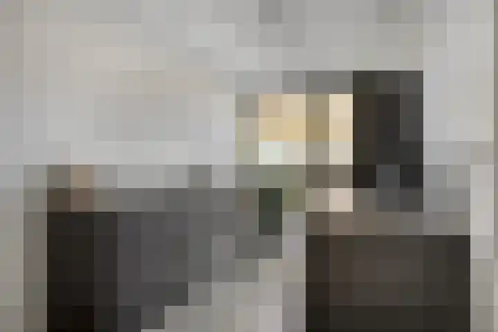 Middenstip 10 Terheijden thumbnail 11