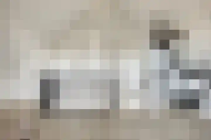 Middenstip 10 Terheijden thumbnail 22