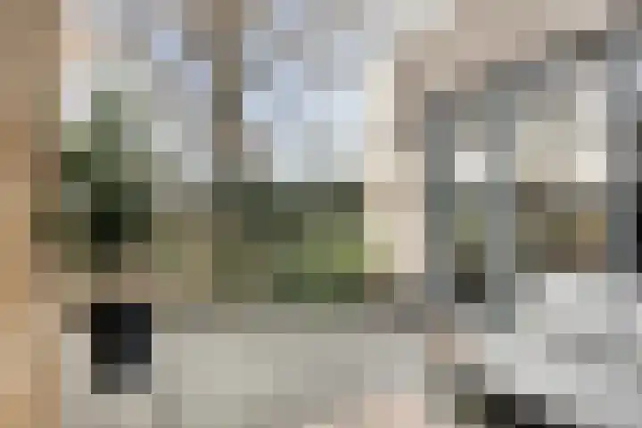 Middenstip 10 Terheijden thumbnail 24
