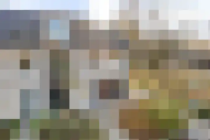 Middenstip 10 Terheijden thumbnail 29