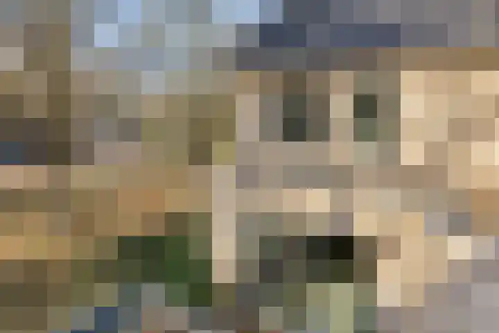 Middenstip 10 Terheijden thumbnail 31