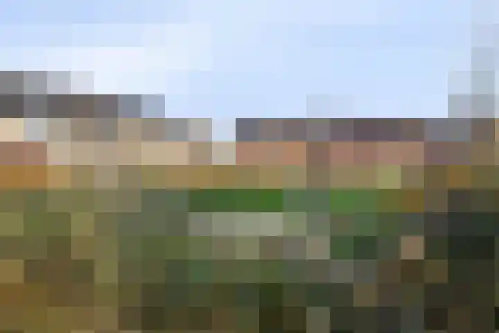 Middenstip 10 Terheijden thumbnail 32