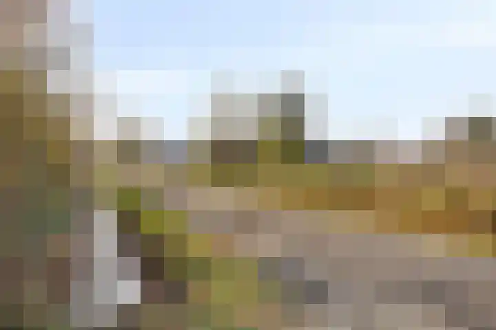 Middenstip 10 Terheijden thumbnail 33