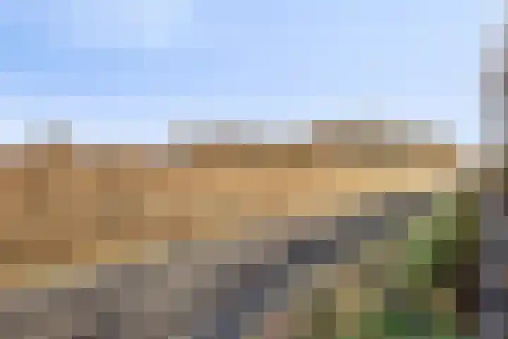 Middenstip 10 Terheijden thumbnail 34