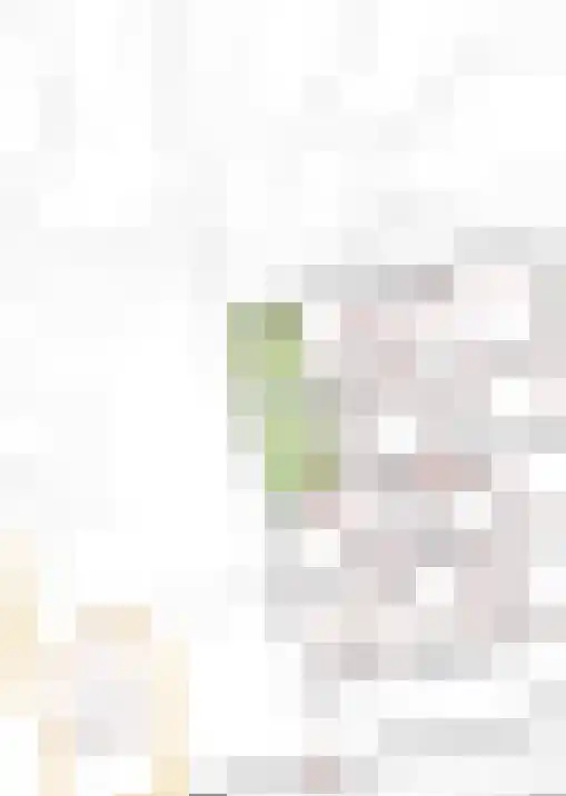 Middenstip 10 Terheijden thumbnail 39