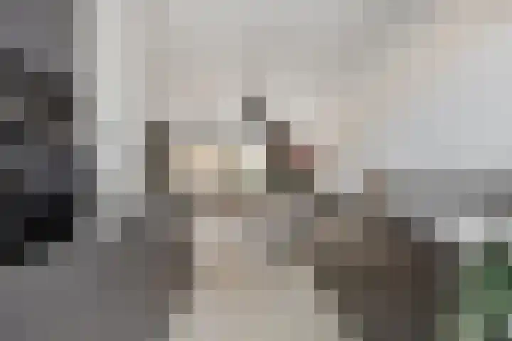 Middenstip 10 Terheijden thumbnail 4