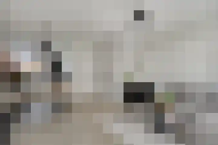 Middenstip 10 Terheijden thumbnail 8