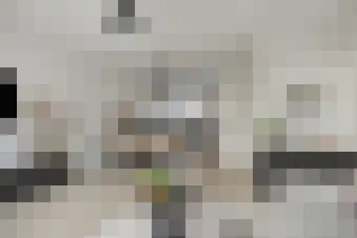 Middenstip 10 Terheijden thumbnail 9