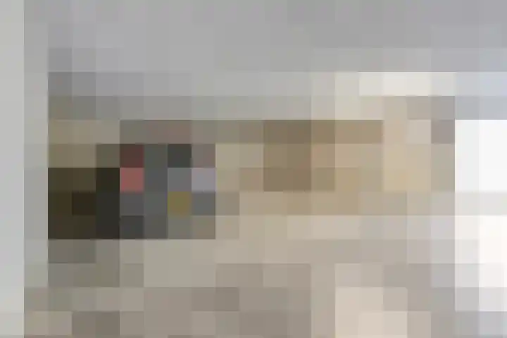Middenstip 17 Terheijden thumbnail 19