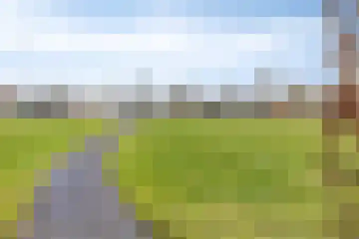 Middenstip 17 Terheijden thumbnail 20