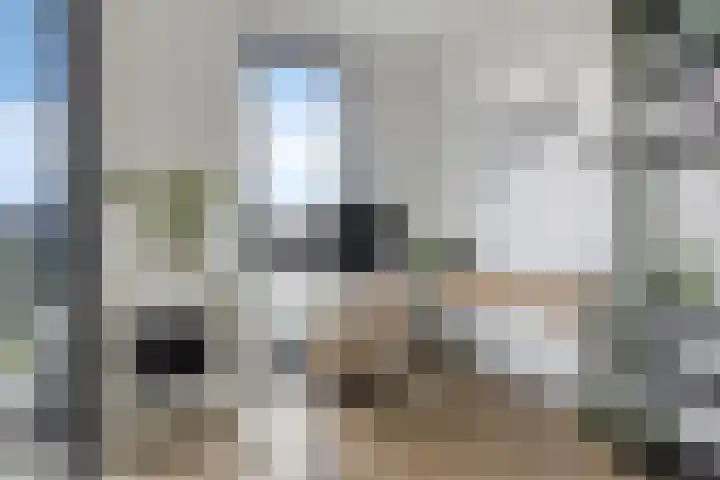 Middenstip 17 Terheijden thumbnail 4