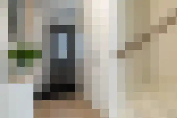 Middenstip 4 Terheijden thumbnail 16