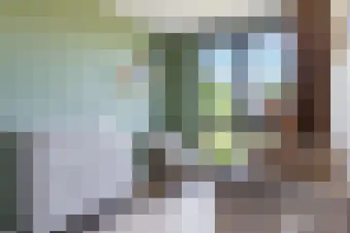 Middenstip 4 Terheijden thumbnail 22