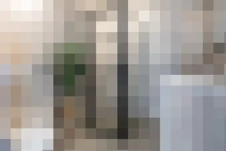 Middenstip 4 Terheijden thumbnail 27