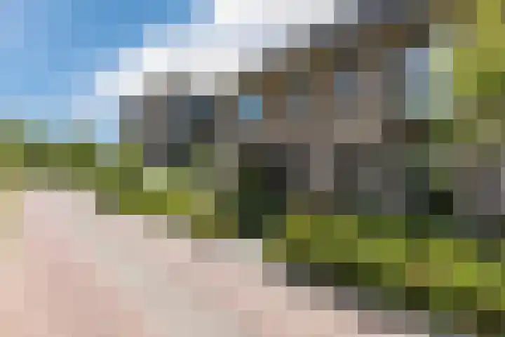 Middenstip 4 Terheijden thumbnail 4