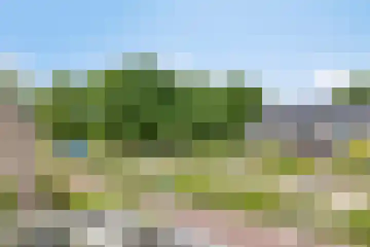 Middenstip 9 Terheijden thumbnail 28