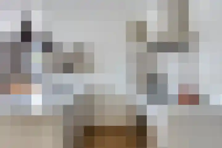 Middenstip 9 Terheijden foto 3