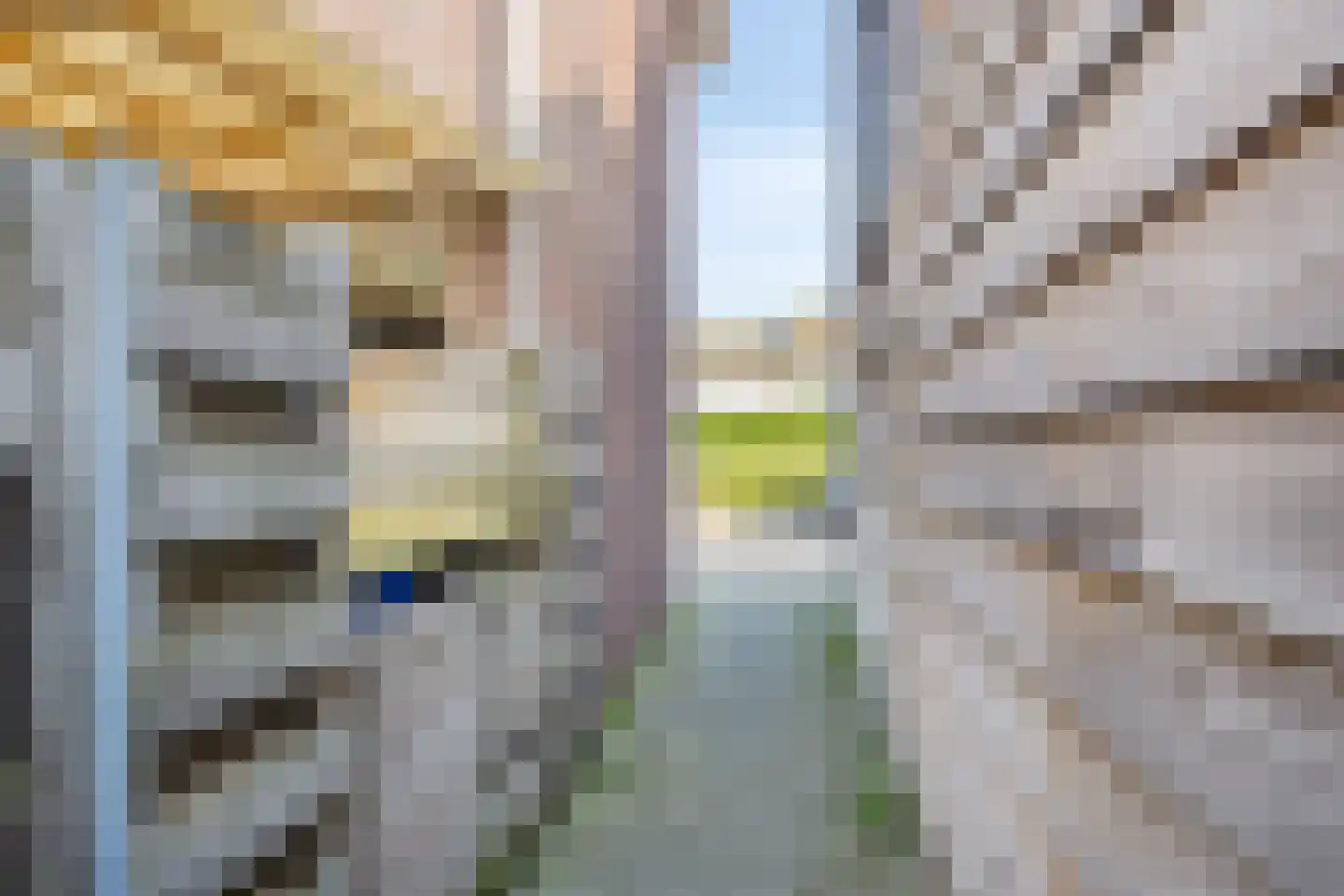 Middenstraat 1 a Wissenkerke thumbnail 7