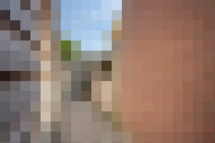 Middenstraat 1 Wissenkerke thumbnail 18