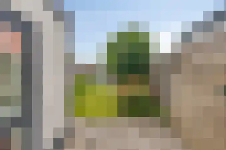 Middenstraat 10 Kats thumbnail 24
