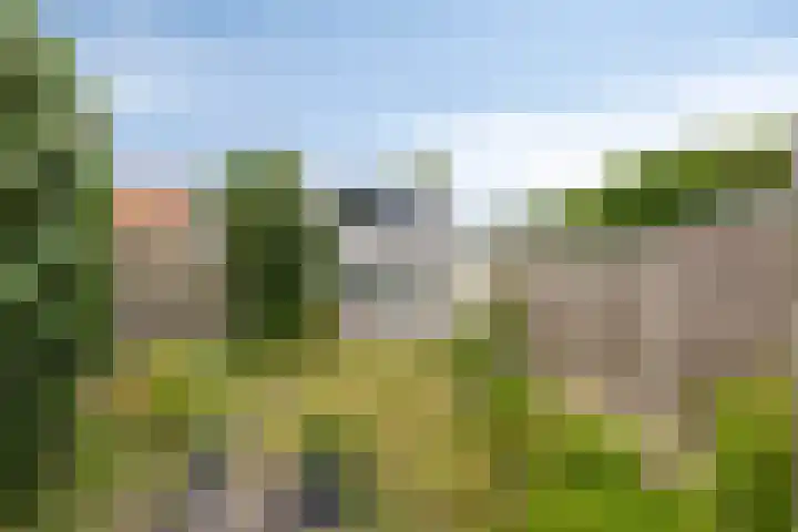 Middenstraat 10 Kats thumbnail 26