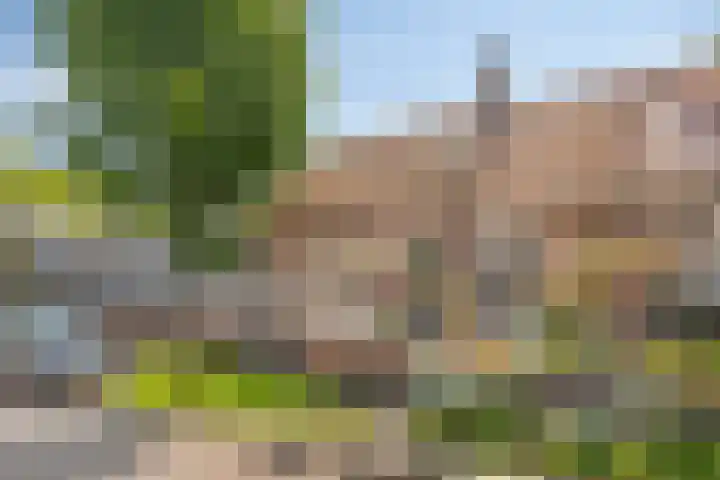 Middenstraat 10 Kats thumbnail 33