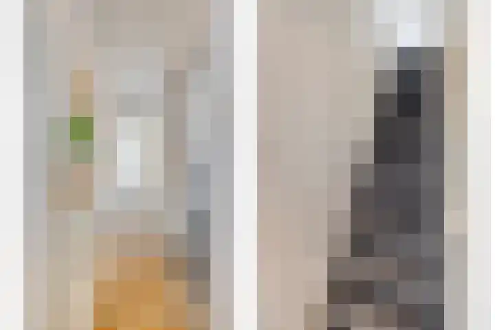 Middenstraat 10 Kats thumbnail 4