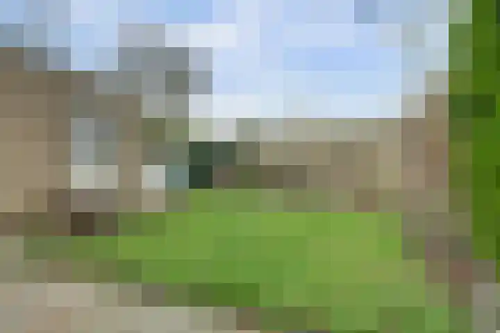 Middenstraat 10 's-Gravenpolder thumbnail 34