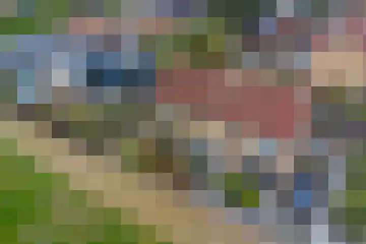 Middenstraat 10 's-Gravenpolder thumbnail 41
