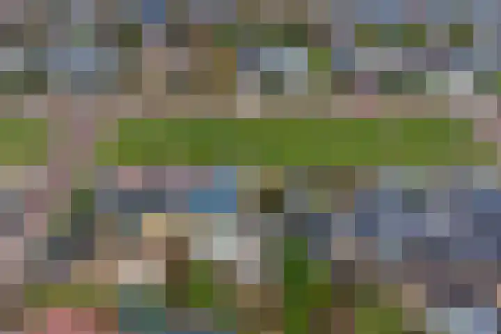 Middenstraat 10 's-Gravenpolder thumbnail 49