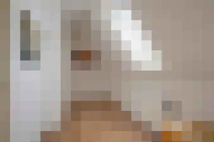Middenstraat 100 Sappemeer thumbnail 22