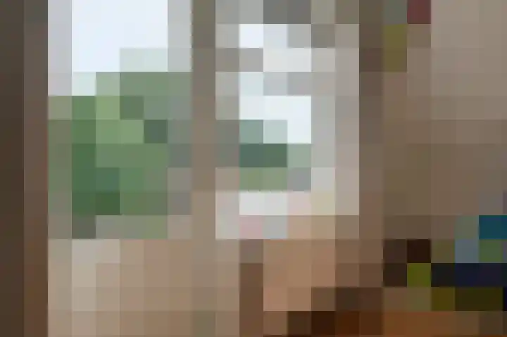 Middenstraat 100 Sappemeer thumbnail 26