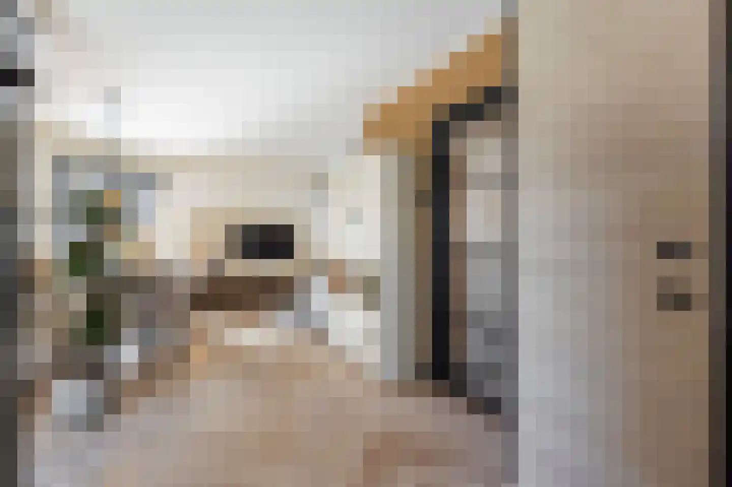 Middenstraat 11 Sliedrecht thumbnail 7