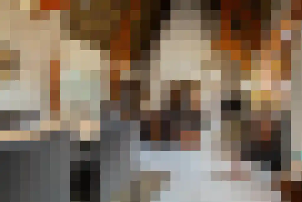 Middenstraat 11 Wissenkerke thumbnail 10