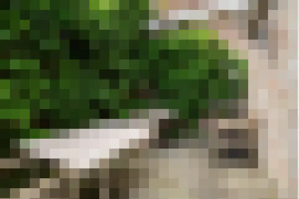 Middenstraat 11 Wissenkerke thumbnail 35