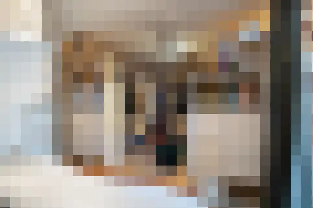 Middenstraat 11 Wissenkerke thumbnail 38