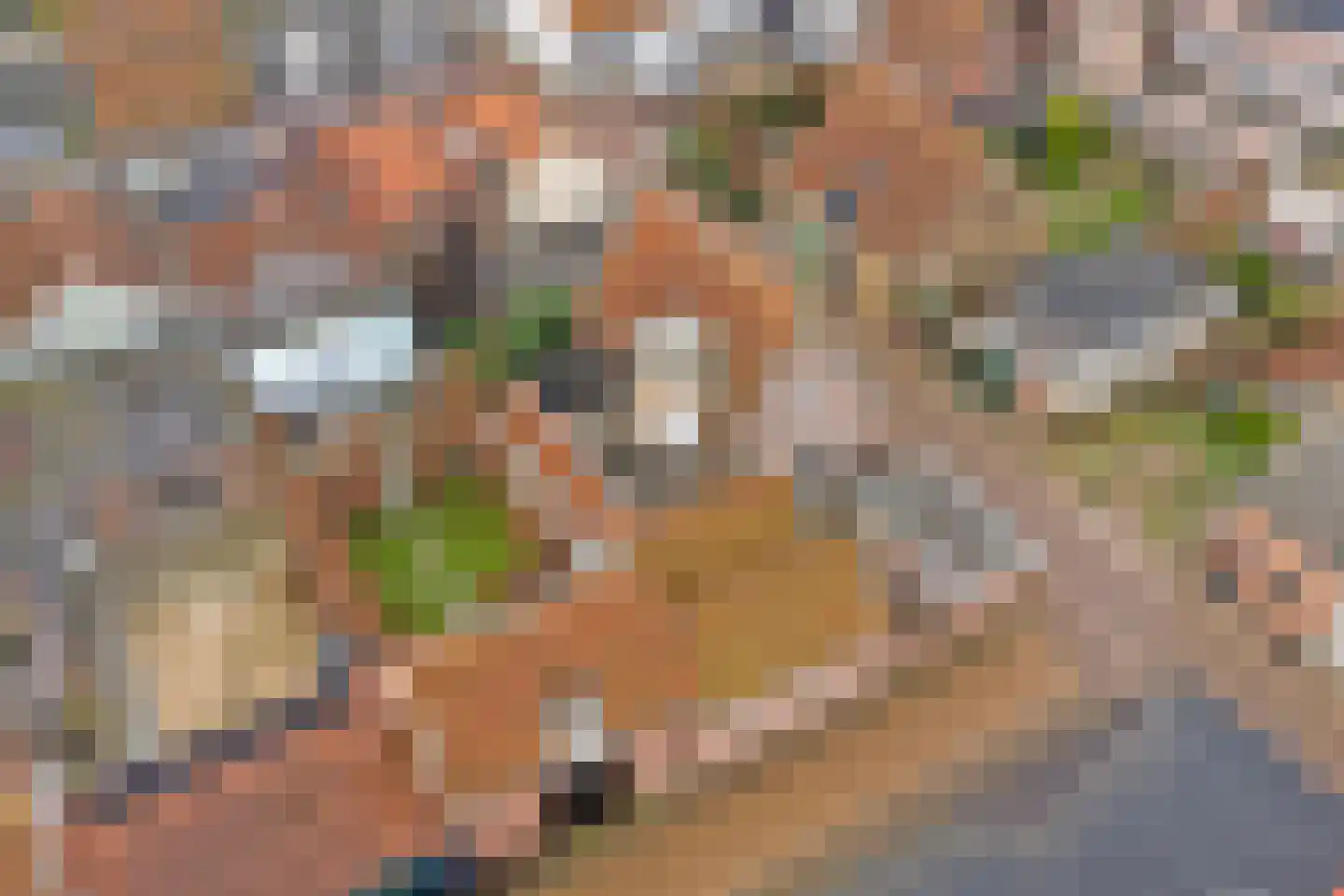 Middenstraat 11 Wissenkerke thumbnail 67