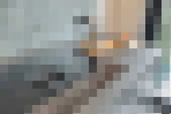 Middenstraat 12 Zuidlaren thumbnail 15