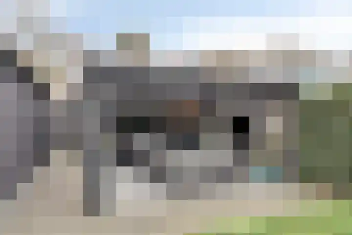 Middenstraat 12 Zuidlaren thumbnail 30