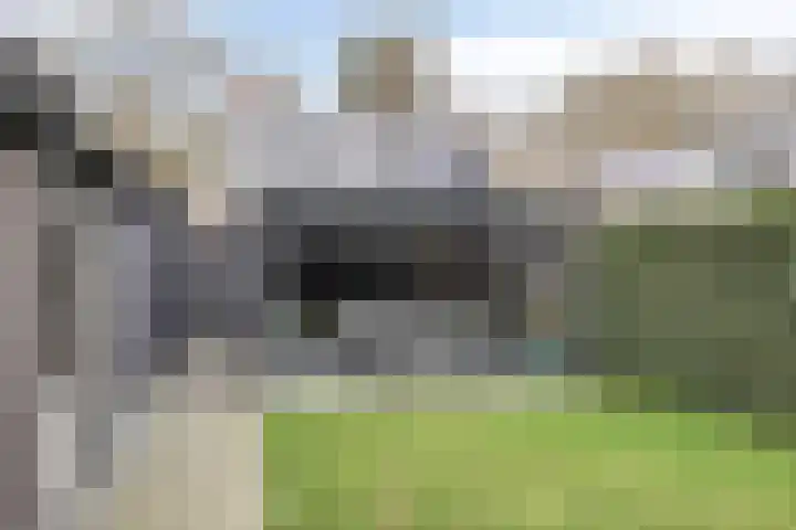 Middenstraat 12 Zuidlaren thumbnail 4