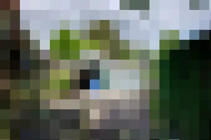 Middenstraat 135 Sappemeer thumbnail 10