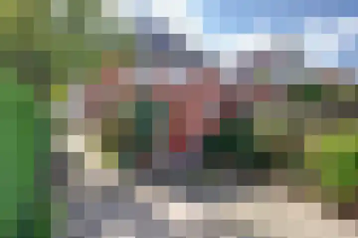 Middenstraat 135 Sappemeer thumbnail 14