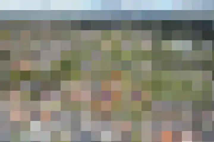 Middenstraat 135 Sappemeer thumbnail 6