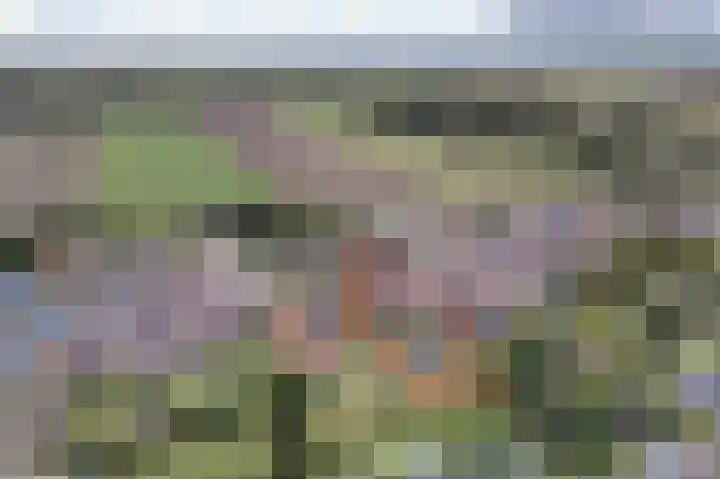 Middenstraat 135 Sappemeer thumbnail 7