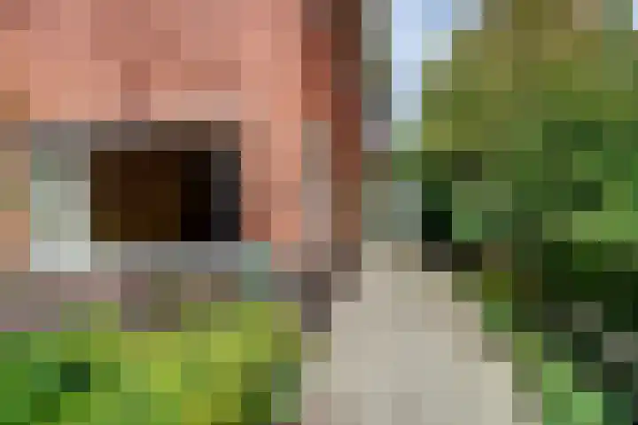 Middenstraat 135 Sappemeer thumbnail 8