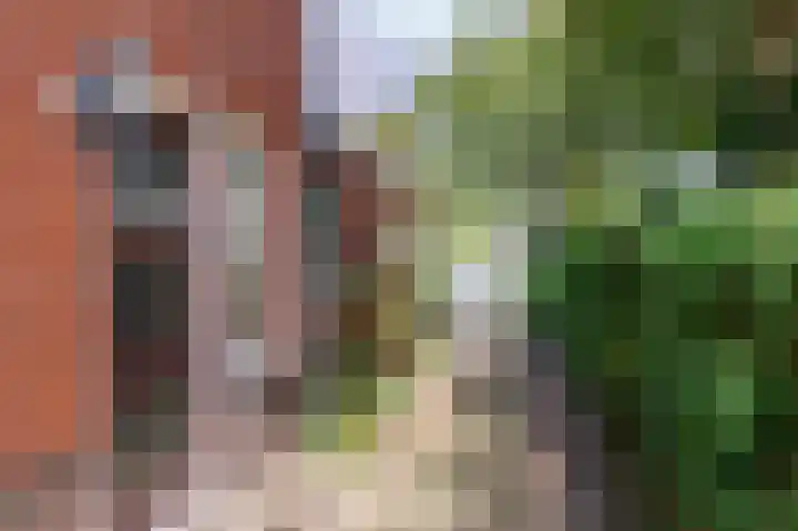 Middenstraat 135 Sappemeer thumbnail 9
